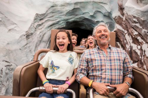 Walt Disney World  Ingresso Promocional 6 dias Park Hopper® Plus Option + 2 Dias Grátis