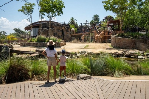 Ingresso Taronga Zoo Sydney – 1 dia